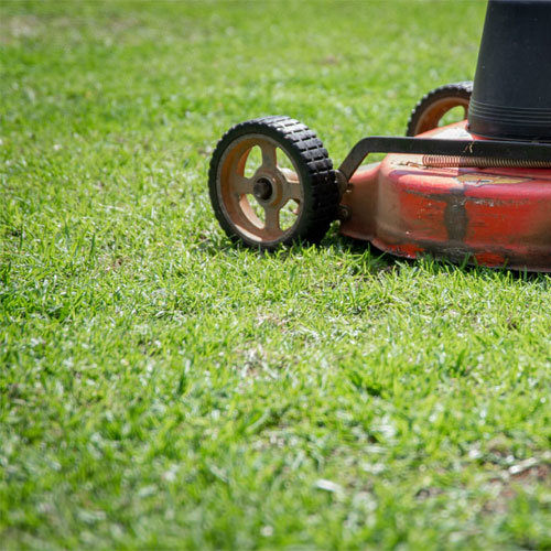 Lawn care